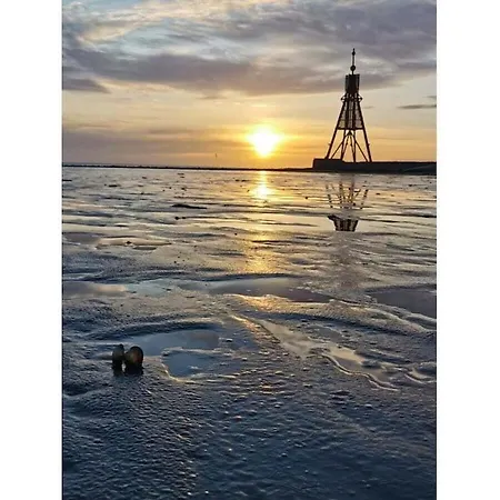 Toni's Graurobbe Comfortable *