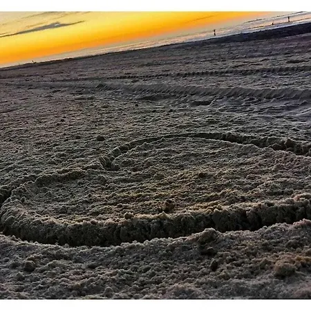 Toni's Graurobbe Comfortable